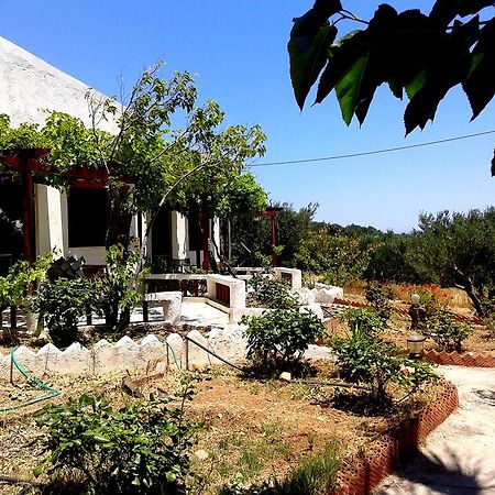 Sunrise Apartments Palekastro Dış mekan fotoğraf