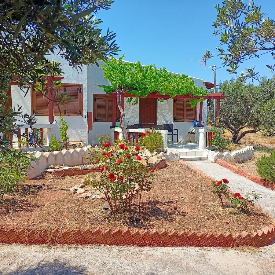 Sunrise Apartments Palekastro Dış mekan fotoğraf
