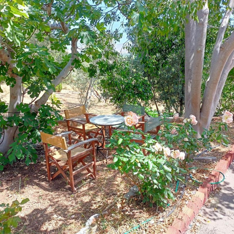 Sunrise Apartments Palekastro Dış mekan fotoğraf