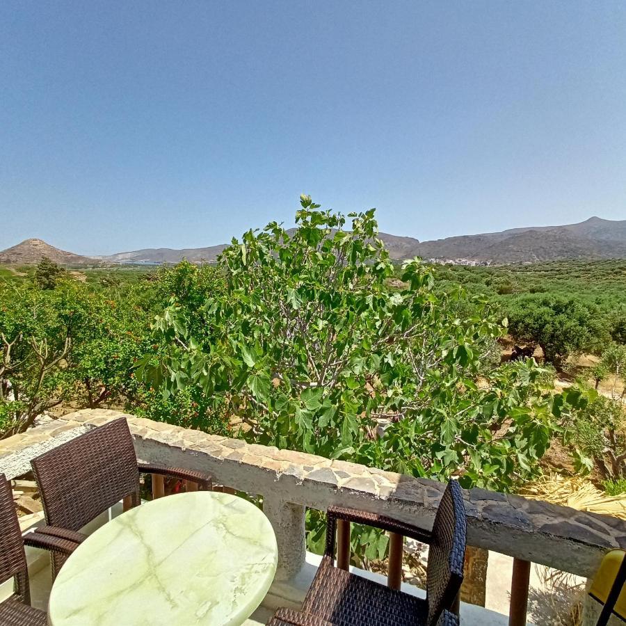Sunrise Apartments Palekastro Dış mekan fotoğraf