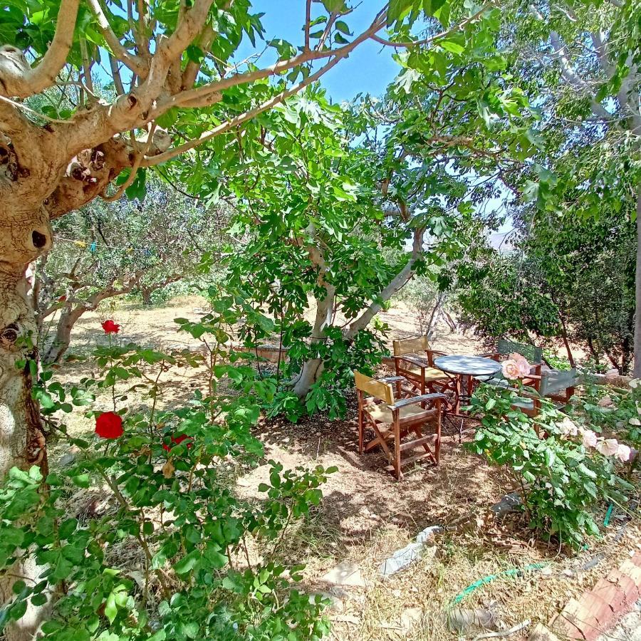 Sunrise Apartments Palekastro Dış mekan fotoğraf