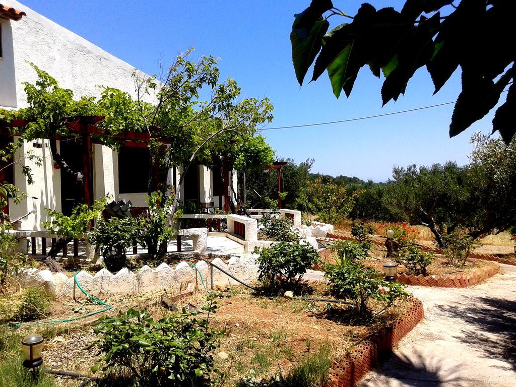 Sunrise Apartments Palekastro Dış mekan fotoğraf