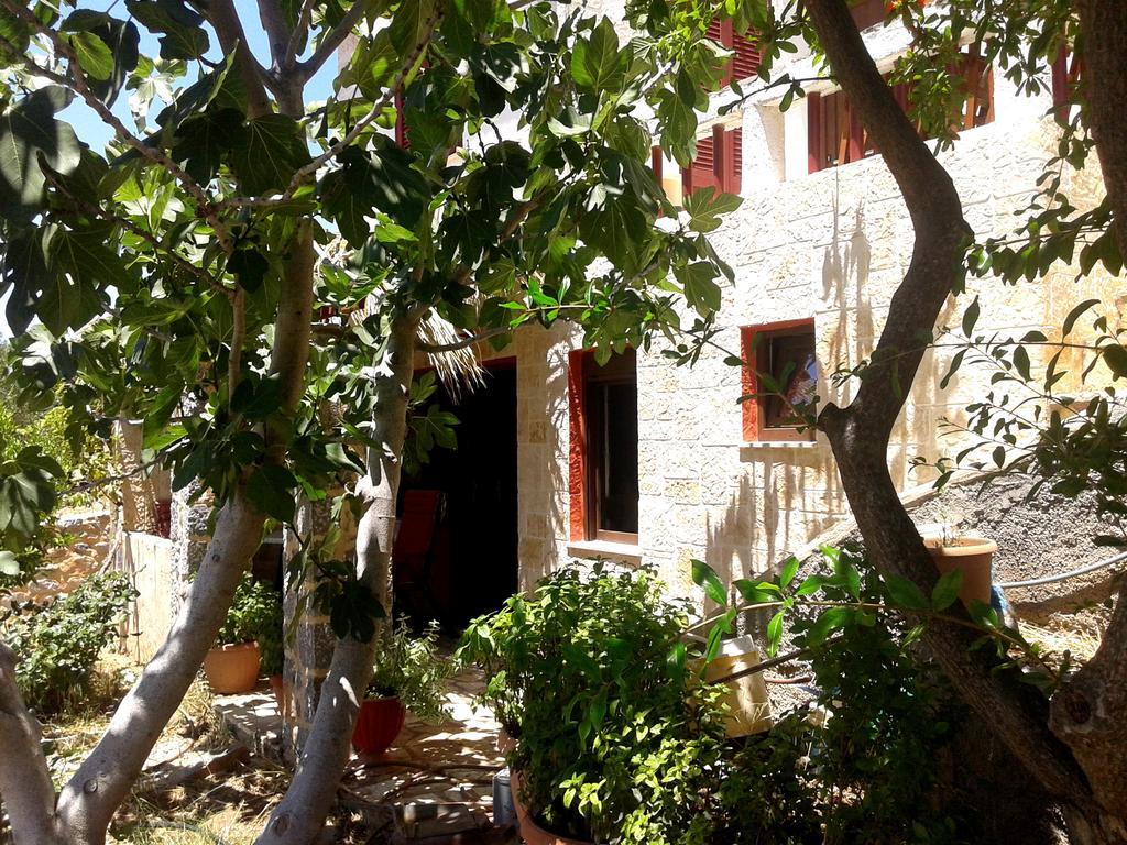 Sunrise Apartments Palekastro Dış mekan fotoğraf